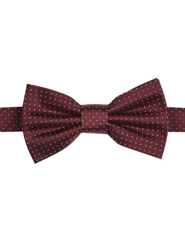 Noeud Papillon Soie Micro Pois Bordeaux Et Bleu Ciel